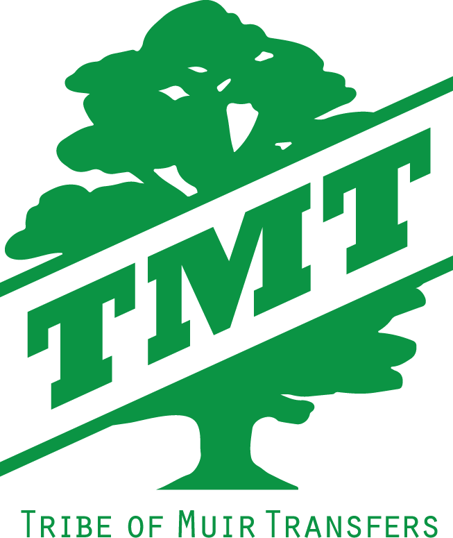 tmt-logo